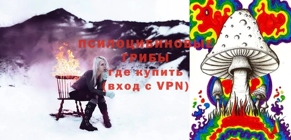 прущие крисы Арсеньев