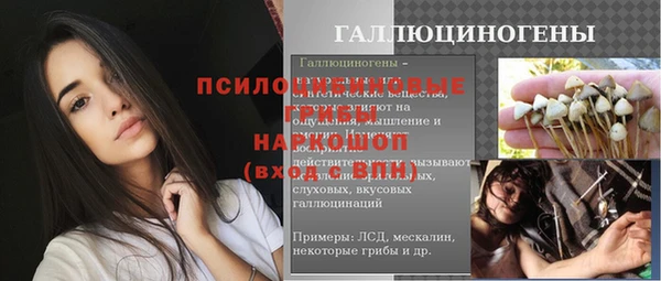 прущие крисы Арсеньев